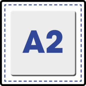 Permiso a2